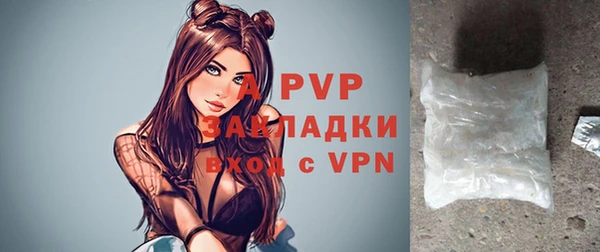 стаф Володарск