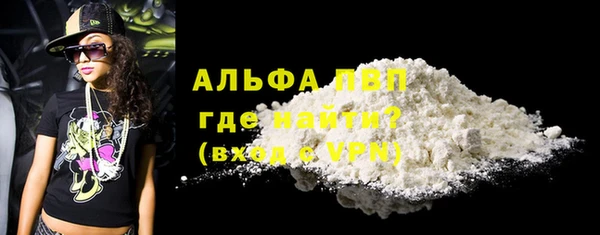 стаф Володарск