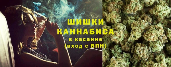 стаф Володарск
