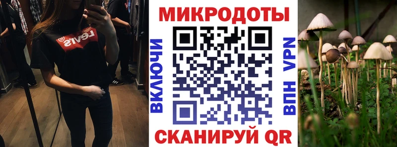 KRAKEN как зайти  Альметьевск  Псилоцибиновые грибы прущие грибы 